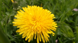 Samsung Galaxy K Zoom