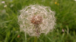 Samsung Galaxy K Zoom