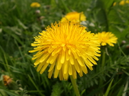 Samsung Galaxy K Zoom