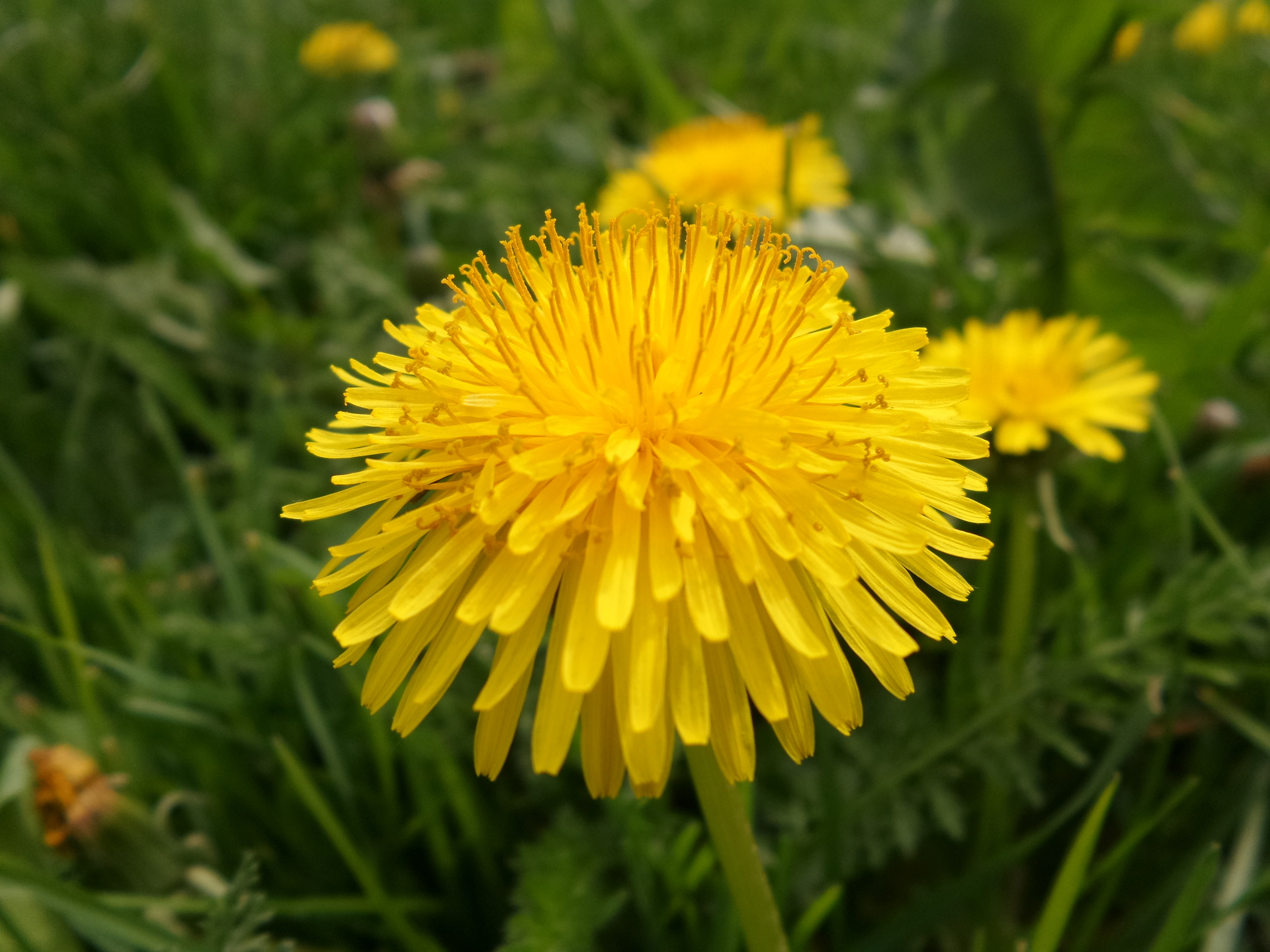 Samsung Galaxy K Zoom