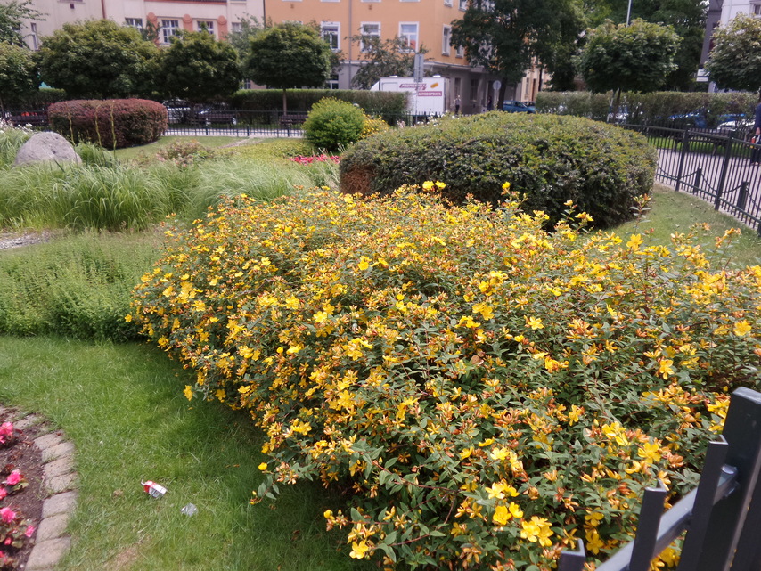 Samsung Galaxy K Zoom