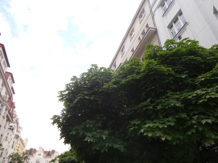 Samsung Galaxy K Zoom