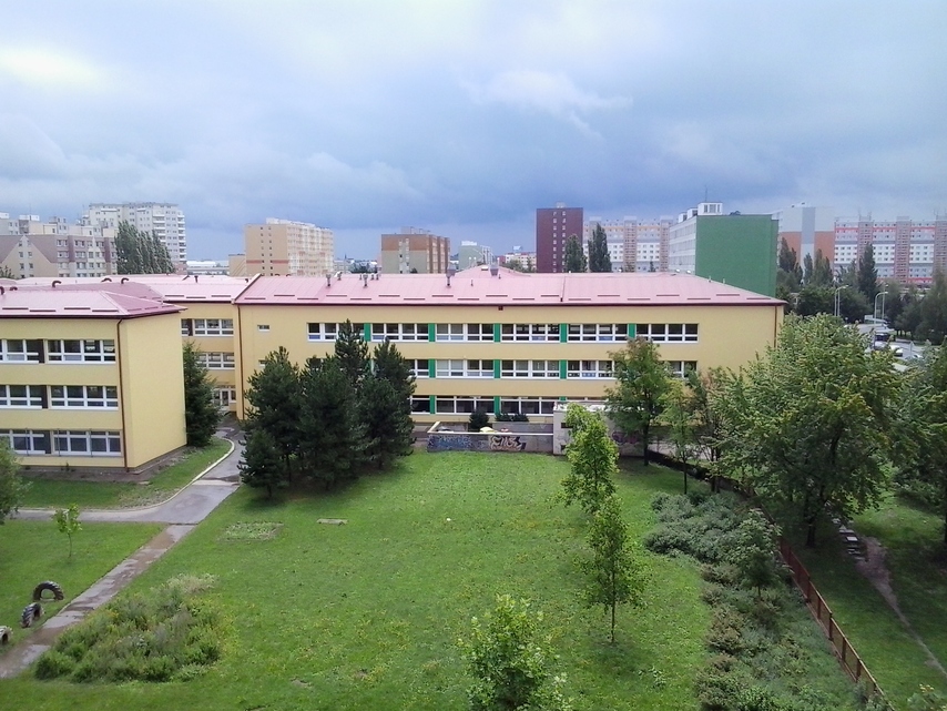 Samsung Galaxy mini 2