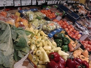 Samsung Galaxy Mini S5570