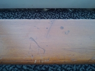 Samsung Galaxy Nexus