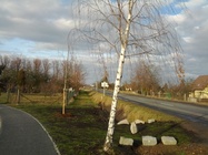 Samsung Galaxy Nexus