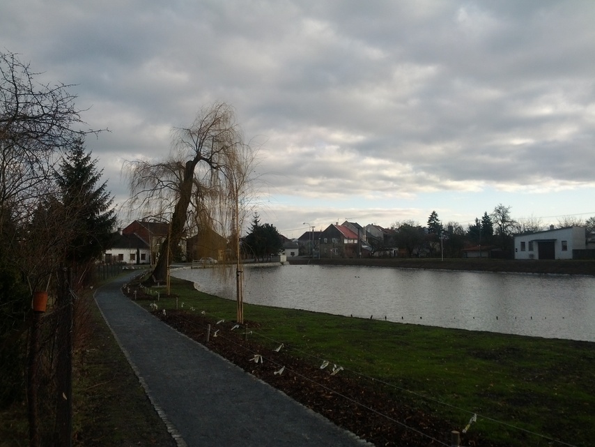 Samsung Galaxy Nexus