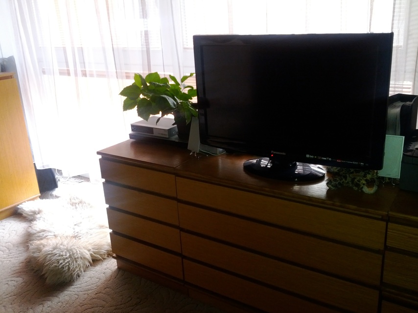 Samsung Galaxy Nexus