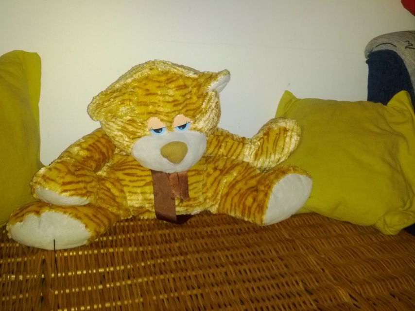 Samsung Galaxy Nexus