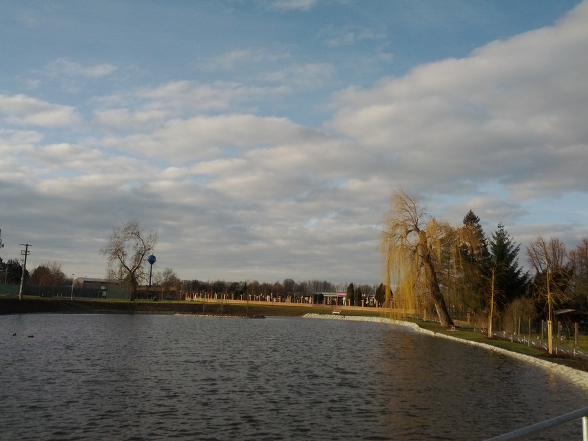 Samsung Galaxy Nexus