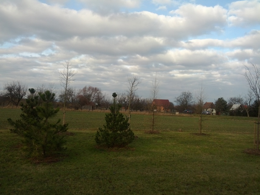 Samsung Galaxy Nexus