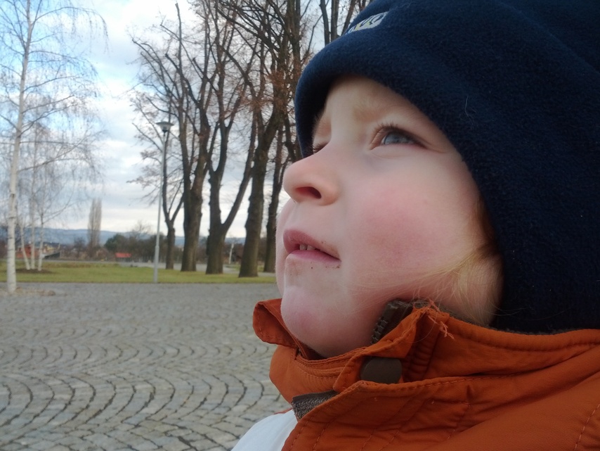 Samsung Galaxy Nexus