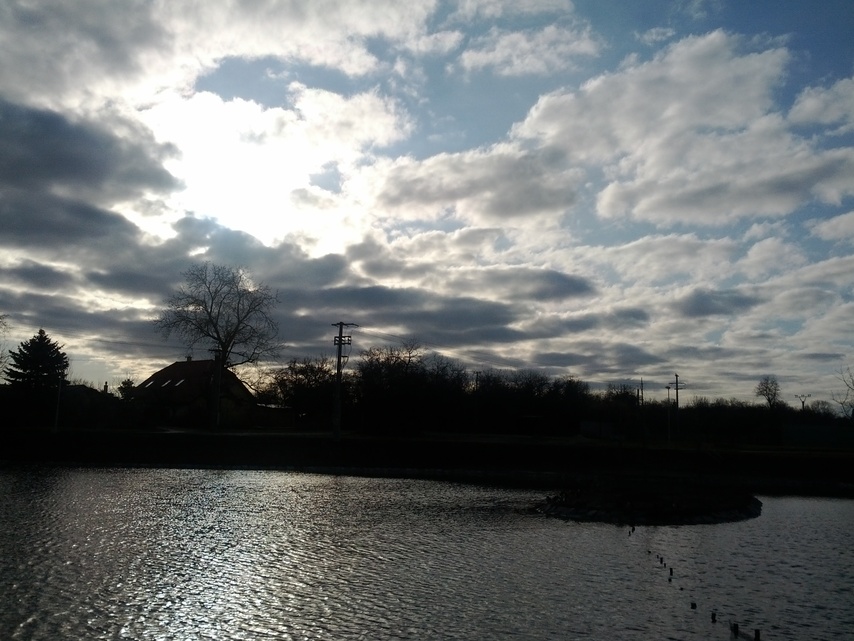 Samsung Galaxy Nexus