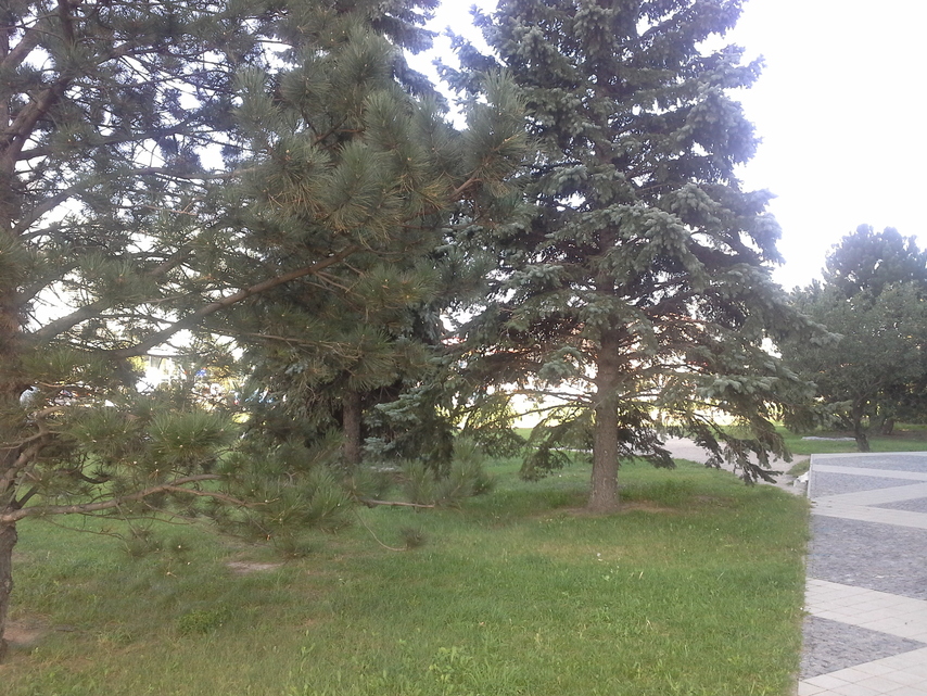 Samsung Galaxy Note 10.1