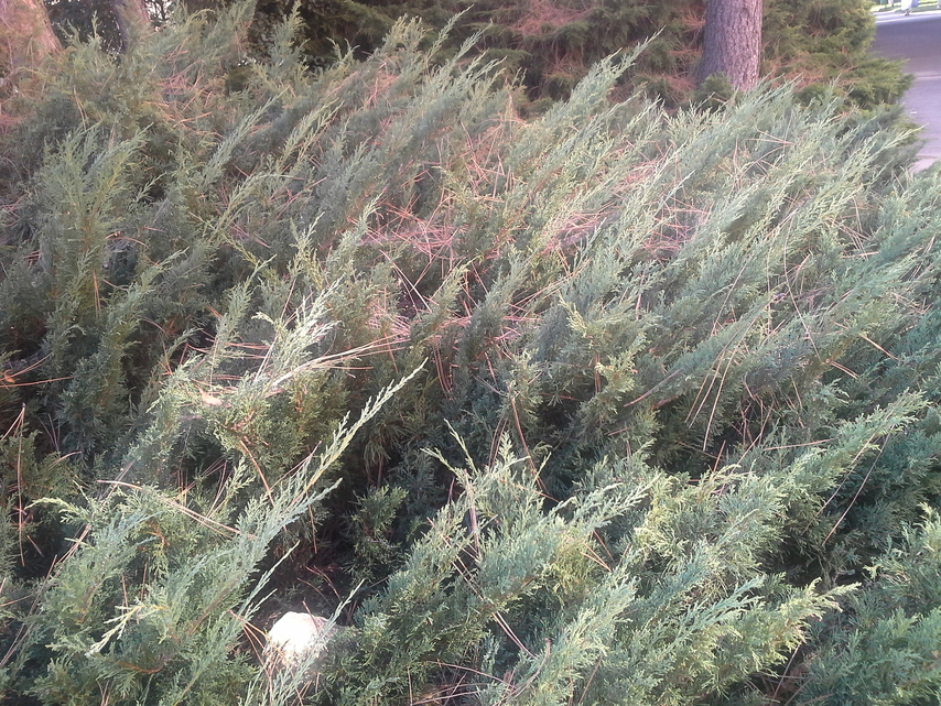 Samsung Galaxy Note 10.1