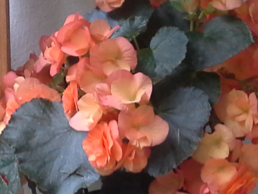 Samsung Galaxy Note 10.1