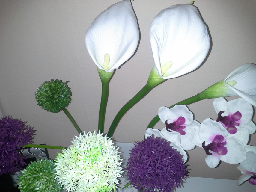 Samsung Galaxy Note 10.1