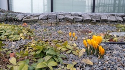 Samsung Galaxy Note 3