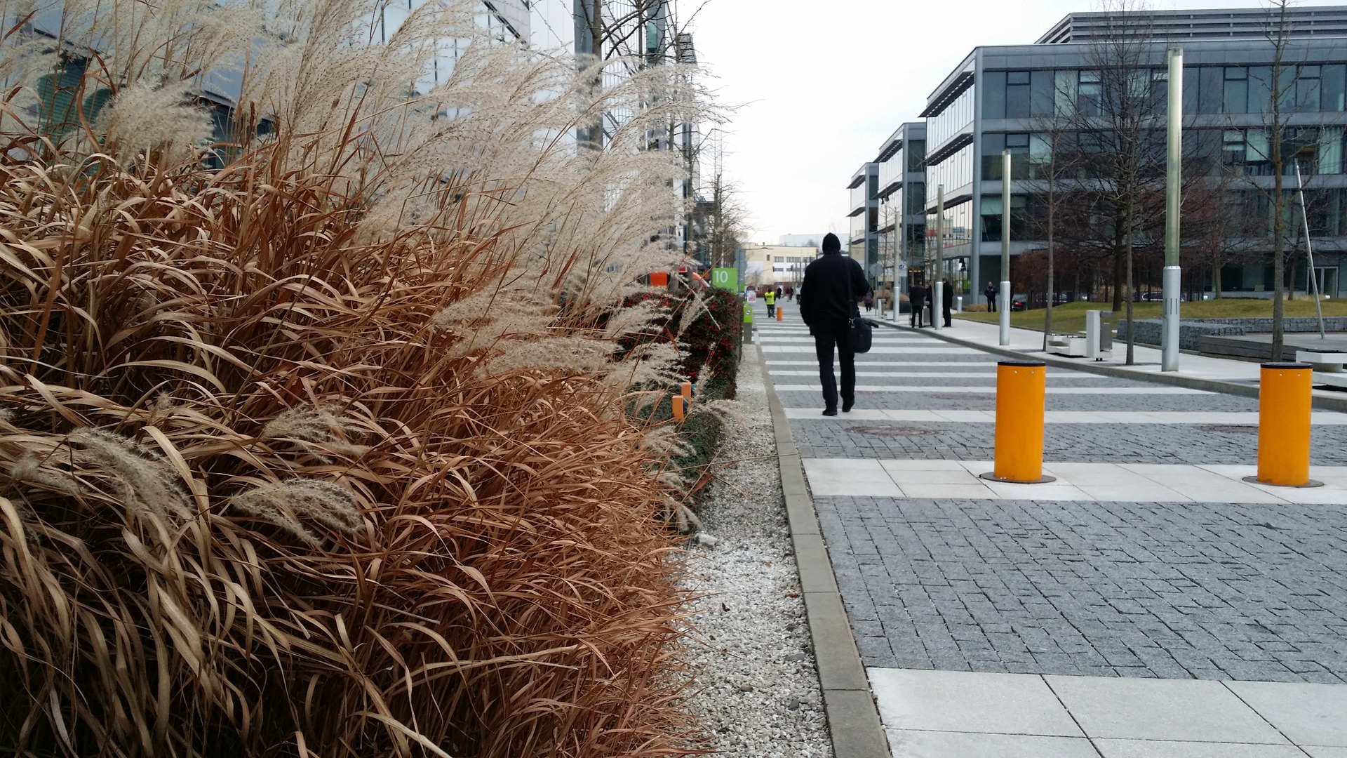 Samsung Galaxy Note 3