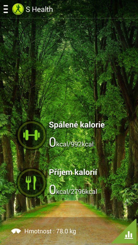 Samsung Galaxy Note 3 Neo