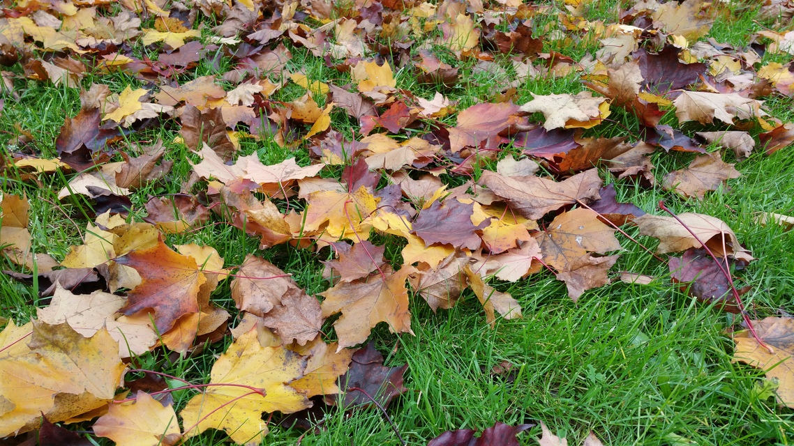 Samsung Galaxy Note 4