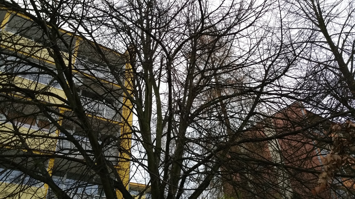 Samsung Galaxy Note 4