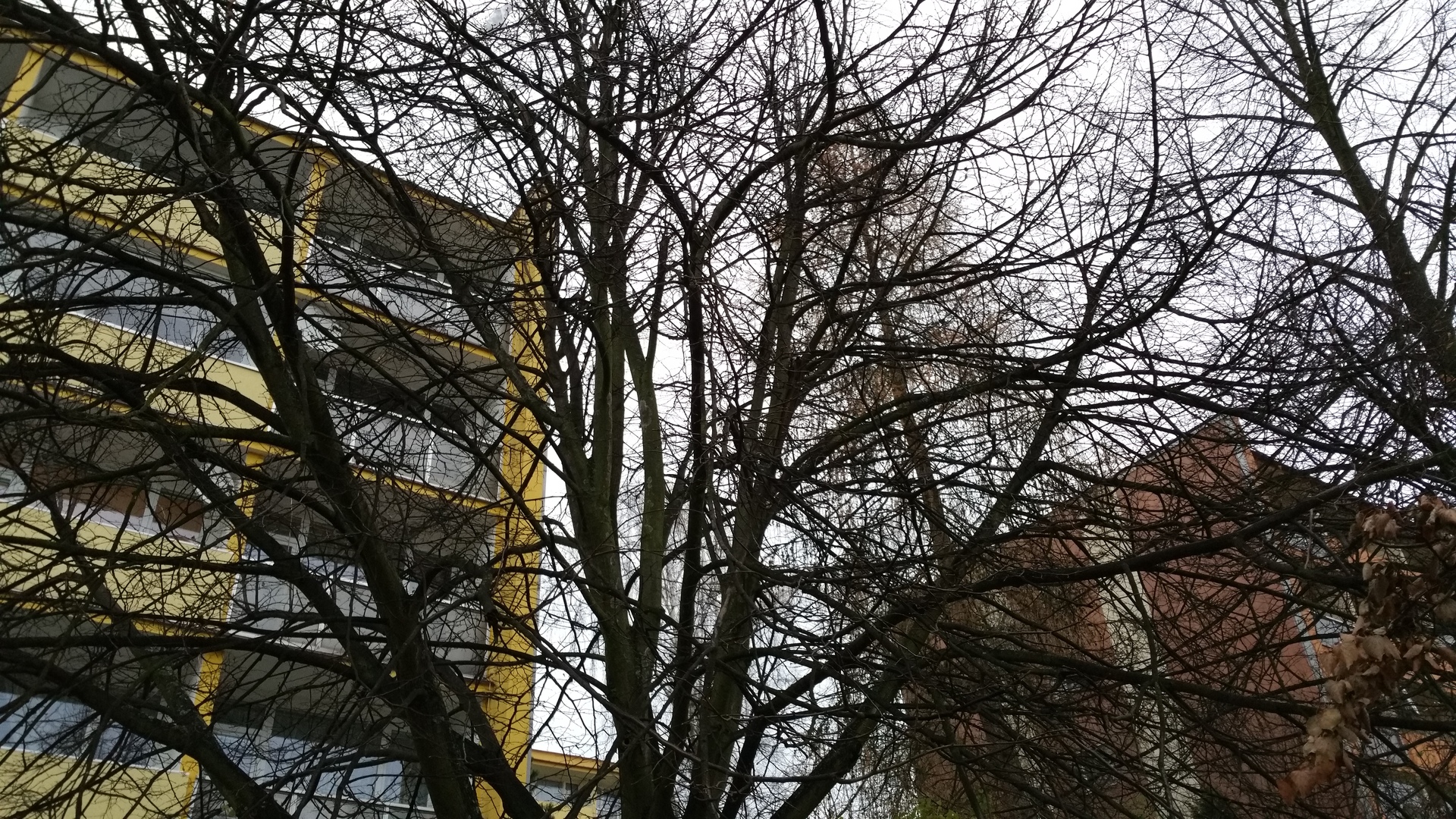 Samsung Galaxy Note 4