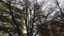 Samsung Galaxy Note 4