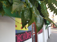 Samsung Galaxy Note 7