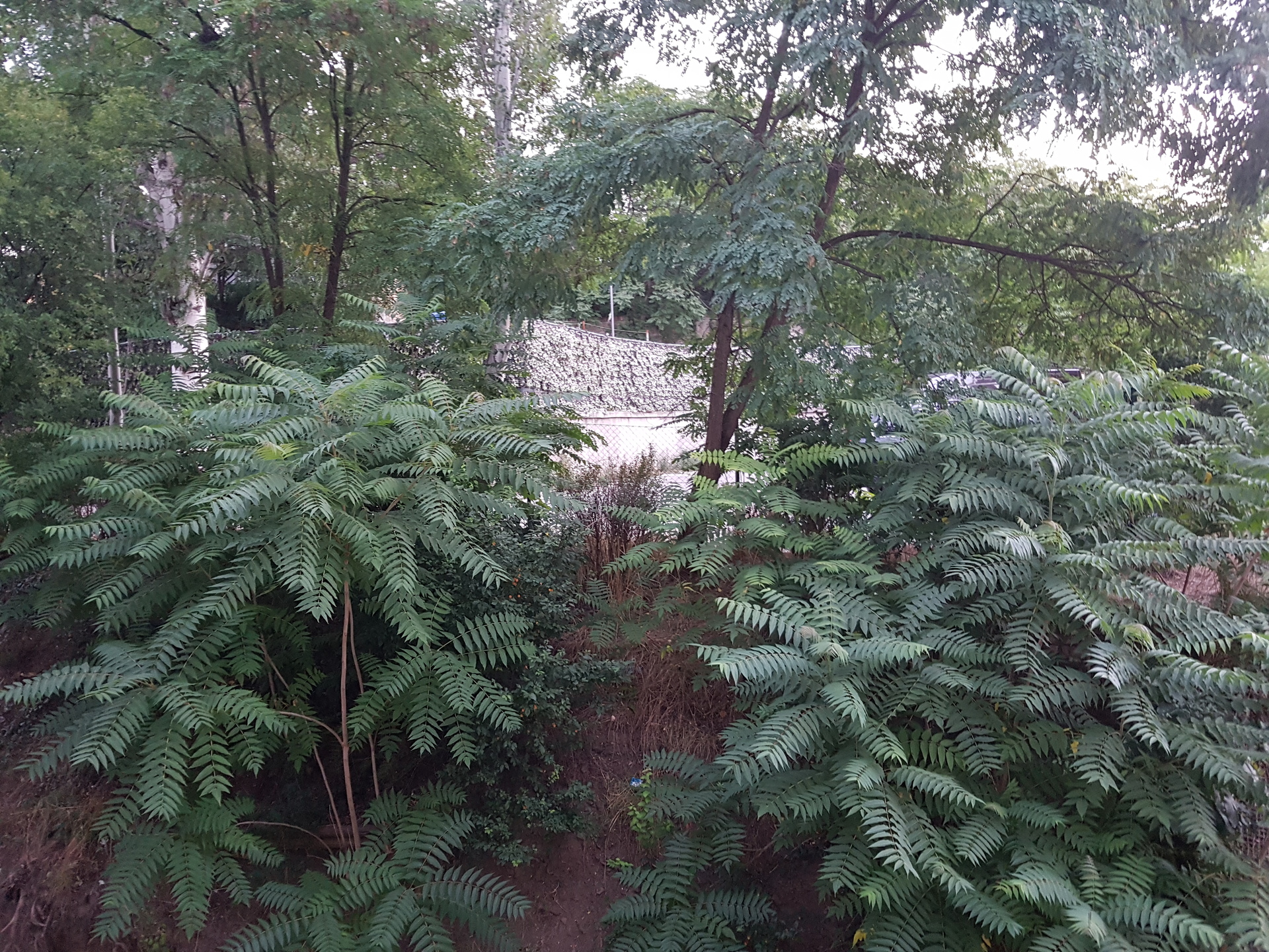 Samsung Galaxy Note 7