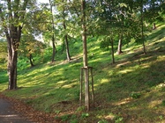 Samsung Galaxy Note 7