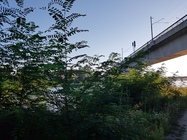 Samsung Galaxy Note 7