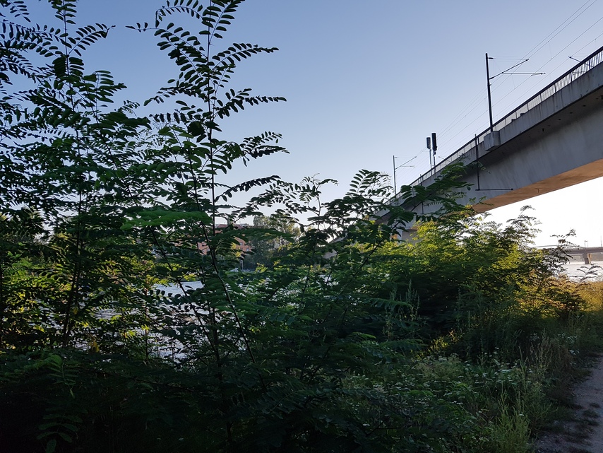 Samsung Galaxy Note 7