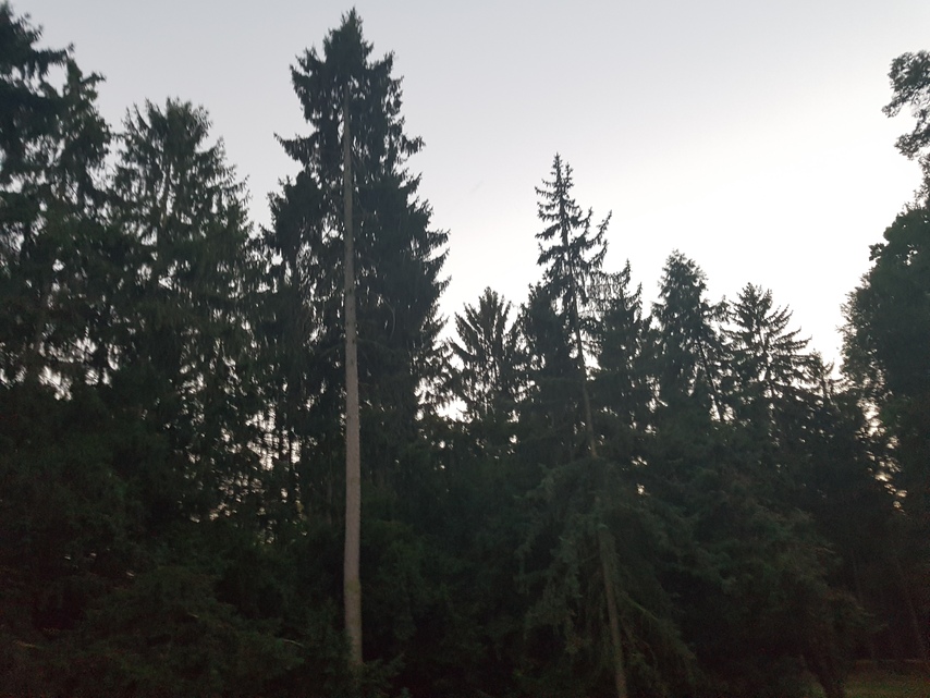 Samsung Galaxy Note 7