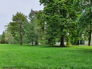 Samsung Galaxy Note10+