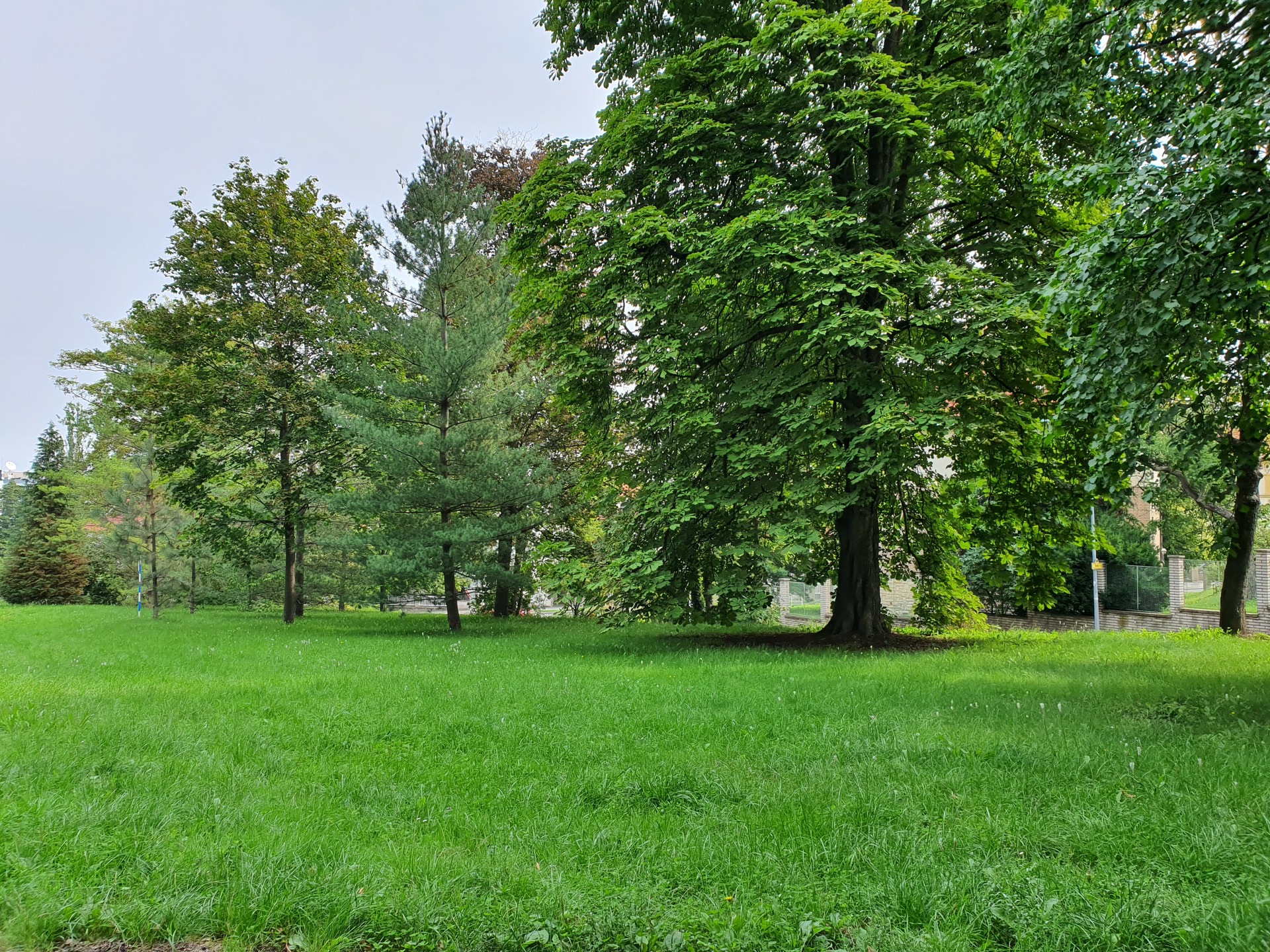 Samsung Galaxy Note10+