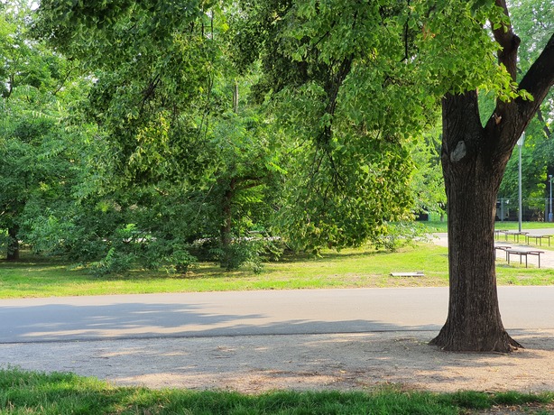 Samsung Galaxy Note10+