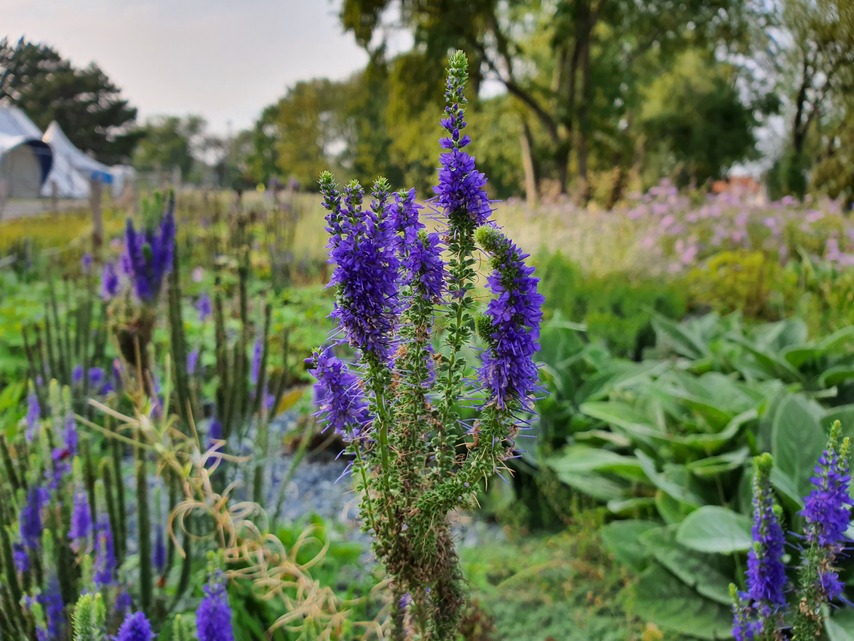 Samsung Galaxy Note10+