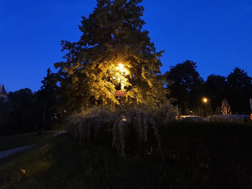 Samsung Galaxy Note10+