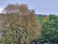 Samsung Galaxy Note10