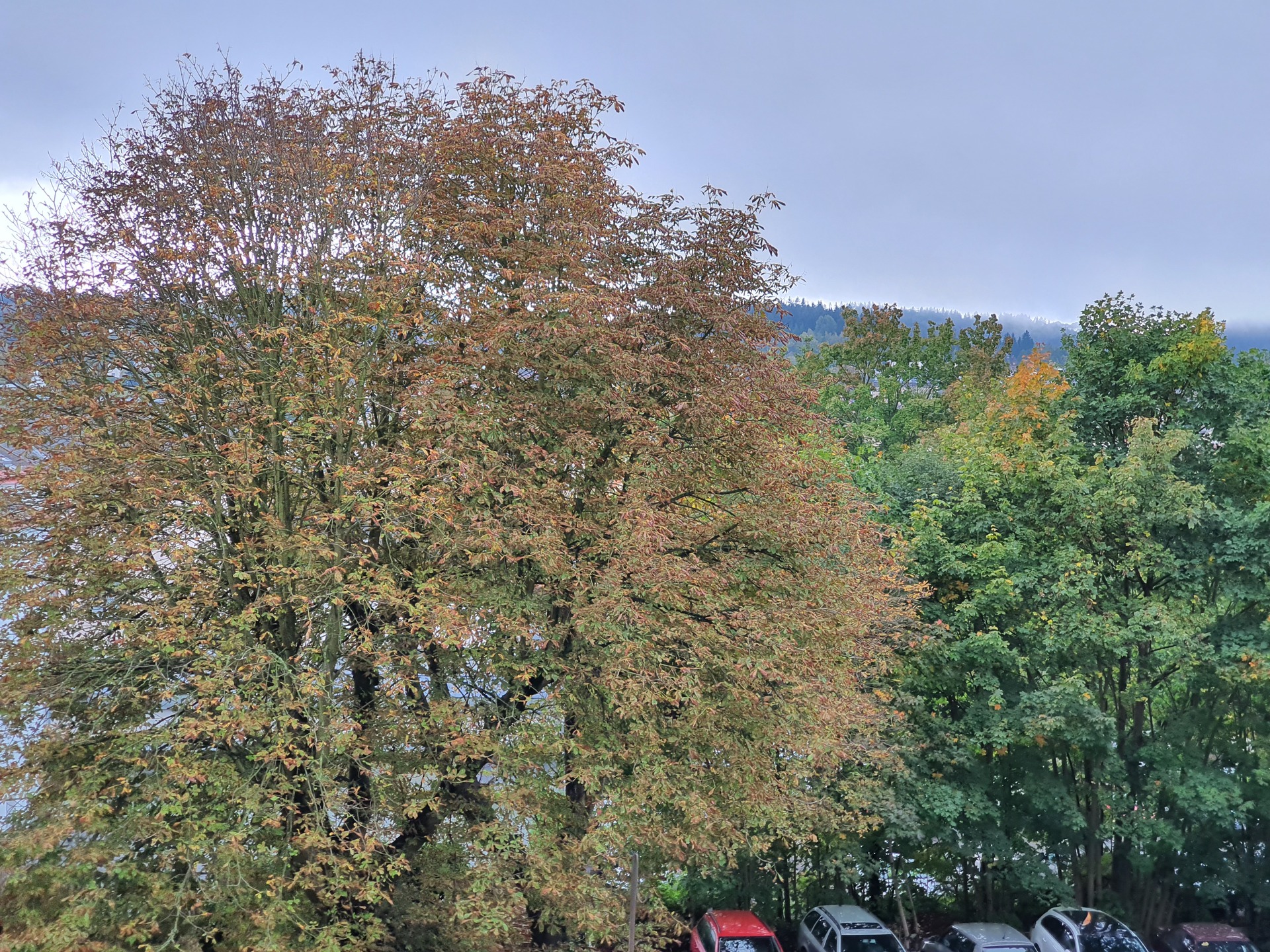 Samsung Galaxy Note10