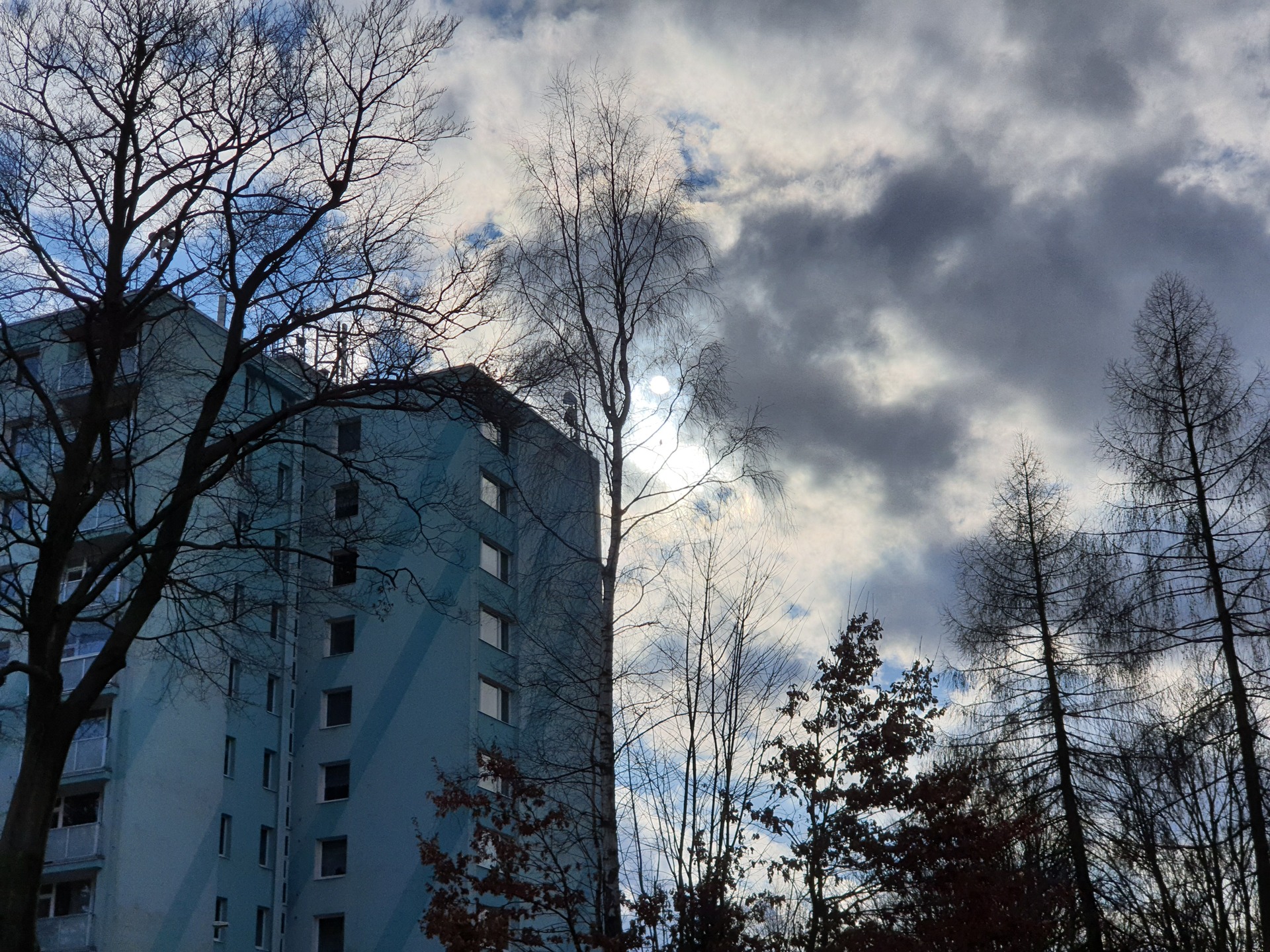 Samsung Galaxy Note10 Lite