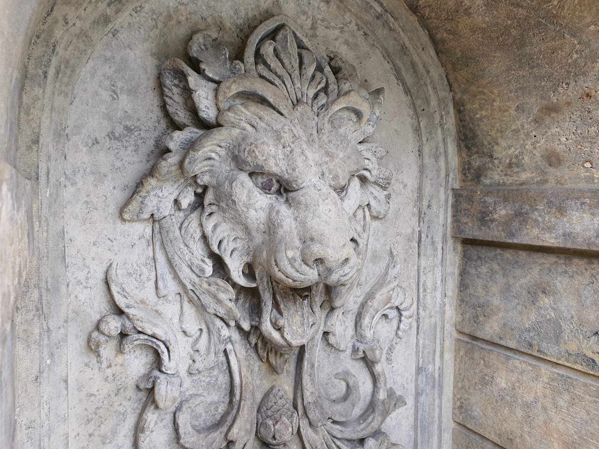 Samsung Galaxy Note10+