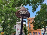 Samsung Galaxy Note10+