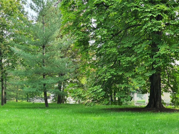 Samsung Galaxy Note10+