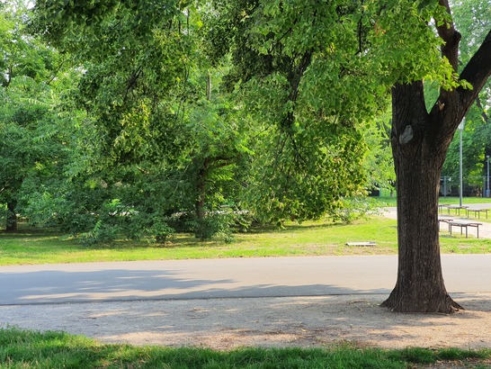 Samsung Galaxy Note10+