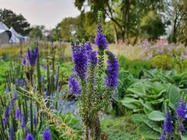 Samsung Galaxy Note10+