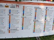 Samsung Galaxy Note10+