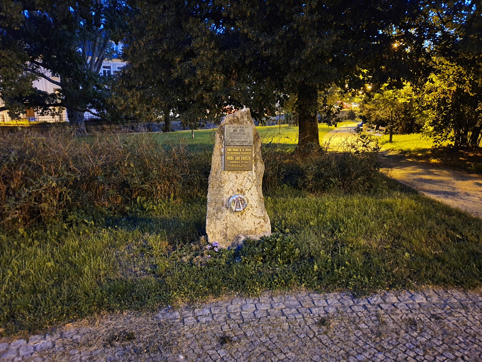 Samsung Galaxy Note10+