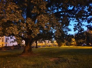 Samsung Galaxy Note10+